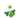 White Clover PC Icon.png