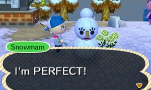 NL Perfect Snowmam.jpg