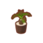 Potted Sago Palm PC Icon.png