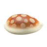 shell stool