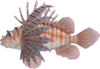 Artwork of zebra turkeyfish