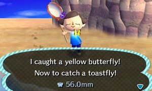 Caught Yellow Butterfly NL.jpg