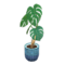 Monstera (Blue) NH Icon.png