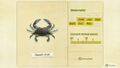 NH Critterpedia Gazami Crab Northern Hemisphere.jpg