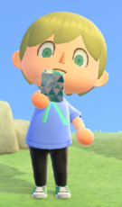 NH Player Take a Picture.png