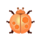 Orange Moonbug PC Icon.png