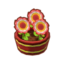Potted Red Rosettes PC Icon.png