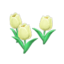 white-tulip plant