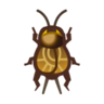 Cricket NH Icon.png