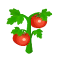 Farmer's Tomatoes PC Icon.png