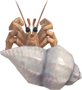 In-game image of hermit crab