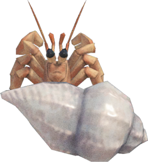 Hermit Crab NH.png
