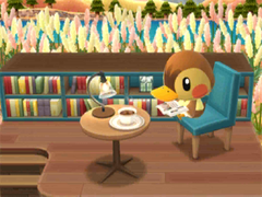 Molly's Cozy Bookshop PC.png