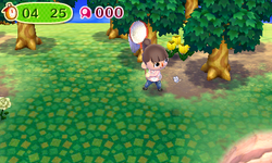 NL Easy Bug-Catching Tour.png