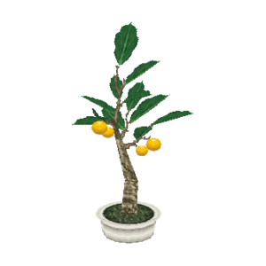 Holly Bonsai WW Model.png