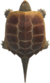 Snapping Turtle NH.png