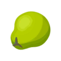 Coconut PC Icon.png
