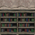 Library Wall PG Texture.png