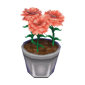 Pink Carnation CF Model.png