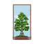 Tree-Lined Wall PC Icon.png
