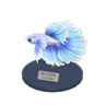 betta model
