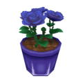 Blue Roses CF Model.png