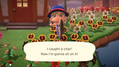 Char/Gallery - Animal Crossing Wiki - Nookipedia