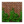 Ivy Wall HHD Icon.png