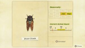 NH Critterpedia Brown Cicada Northern Hemisphere.jpg