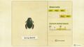 NH Critterpedia Diving Beetle Southern Hemisphere.jpg