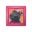 Rodeo's Pic PC Icon.png