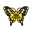 tiger butterfly