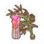 Pink-Paper-Lantern Plant PC Icon.png