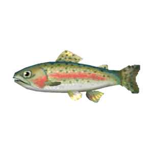 Rainbow Trout CF Model.png