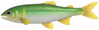 Sweetfish NH.png