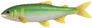 In-game image of sweetfish