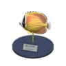butterfly fish model