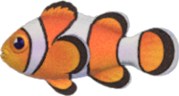 Artwork of Clown Fish