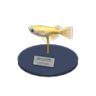 killifish model