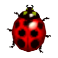 Ladybug CF Model.png