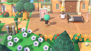 NH Dream Design Station Free Summer Update.png