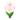 White Iris PC Icon.png