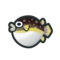 Blowfish NH Icon.png