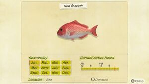 NH Critterpedia Red Snapper.jpg