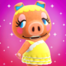 Pancetti's Photo NH Texture.png