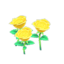 yellow-rose plant