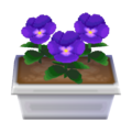 Blue Pansies CF Model.png