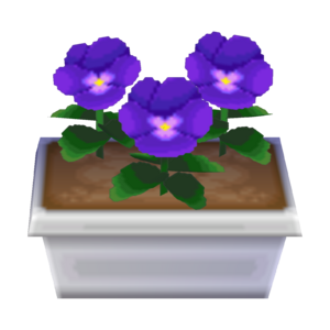 Blue Pansies CF Model.png