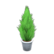 Cypress plant's White variant