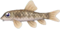 Artwork of nibble fish